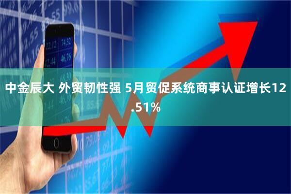 中金辰大 外贸韧性强 5月贸促系统商事认证增长12.51%
