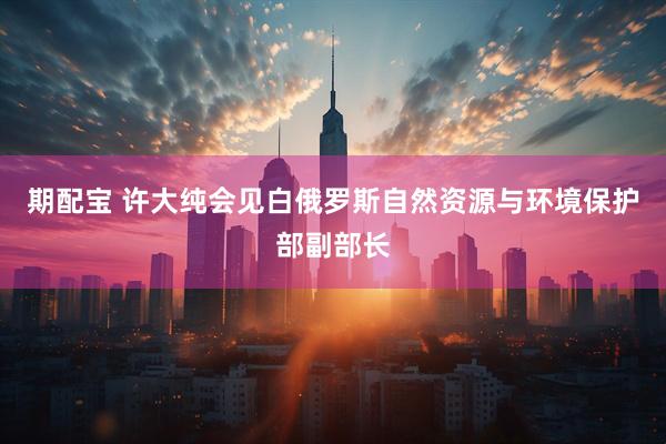 期配宝 许大纯会见白俄罗斯自然资源与环境保护部副部长