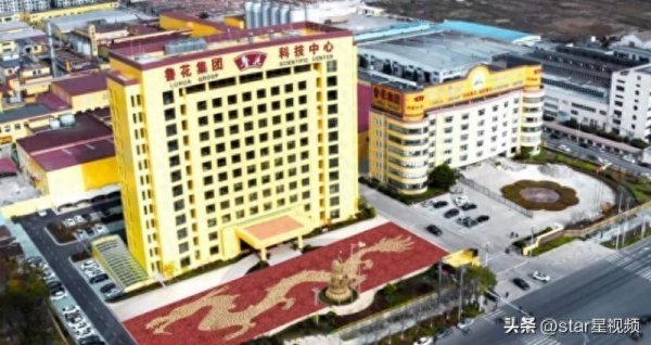 优配好油 以绿色为底色，鲁花引领食品行业创新发展新方向